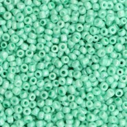 Seed beads 11/0 (2mm) Green ash